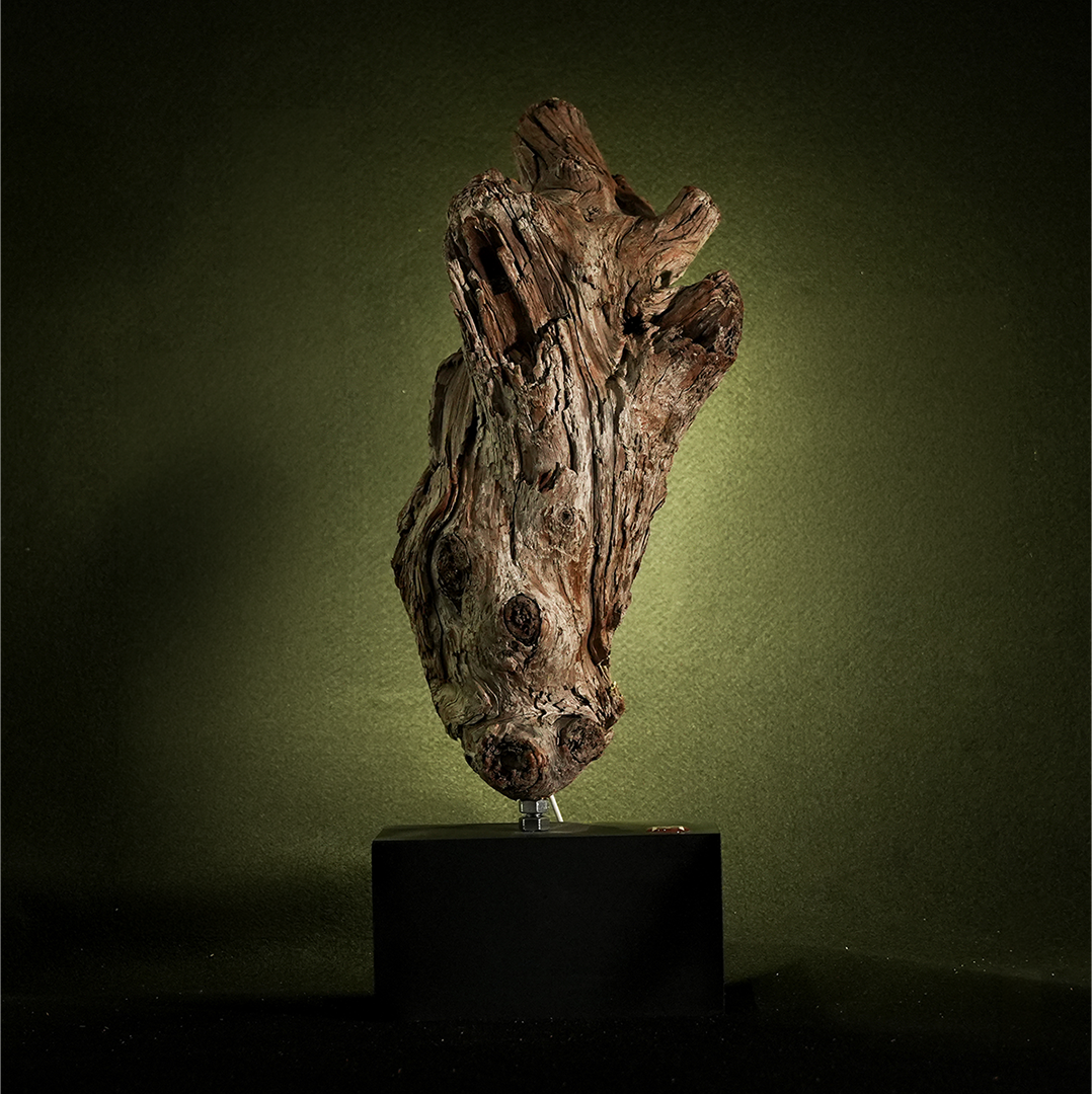 Functional Sculptures