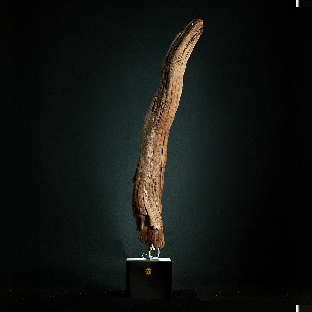 Morpheus - Light Sculpture