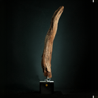 Morpheus - Light Sculpture