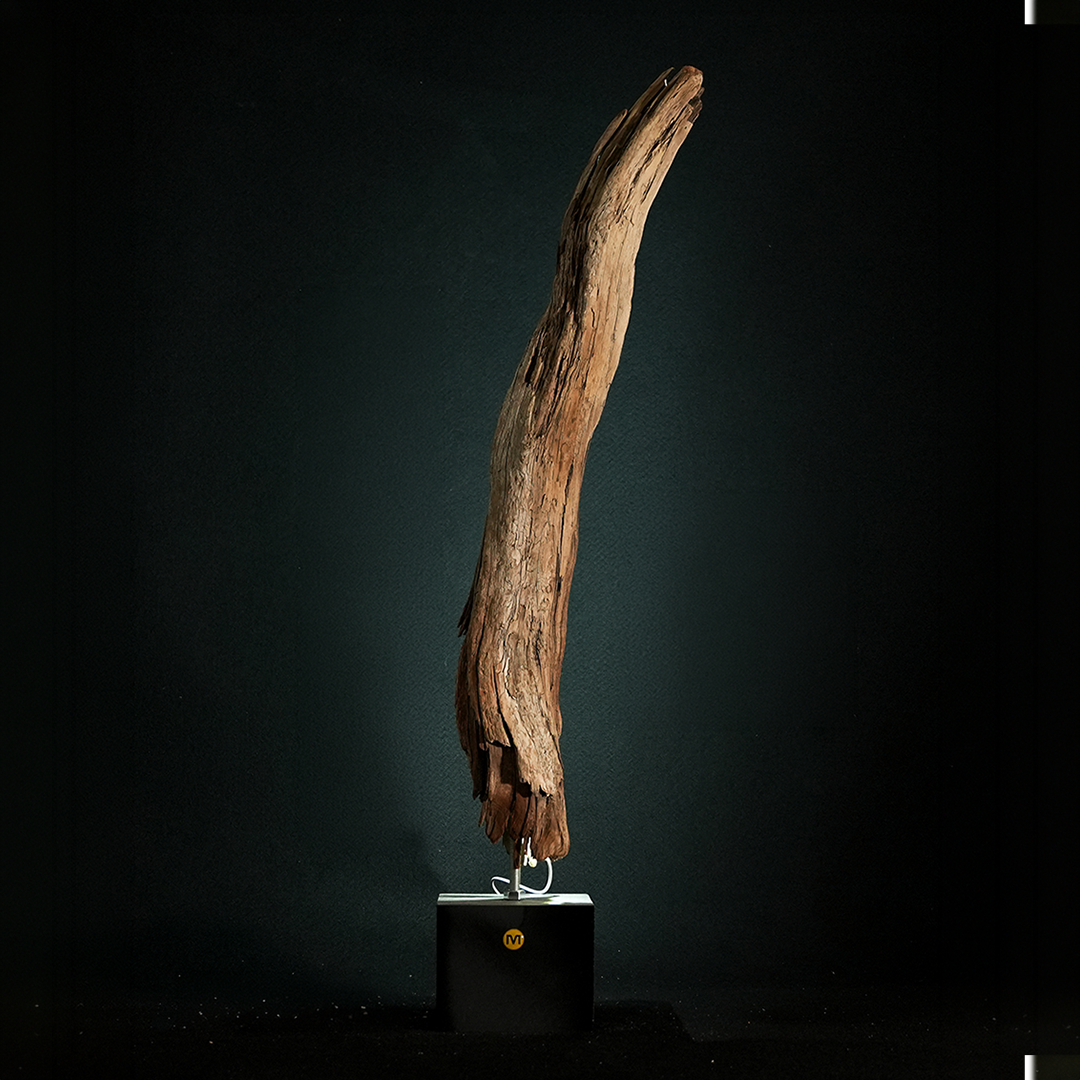 Morpheus - Light Sculpture