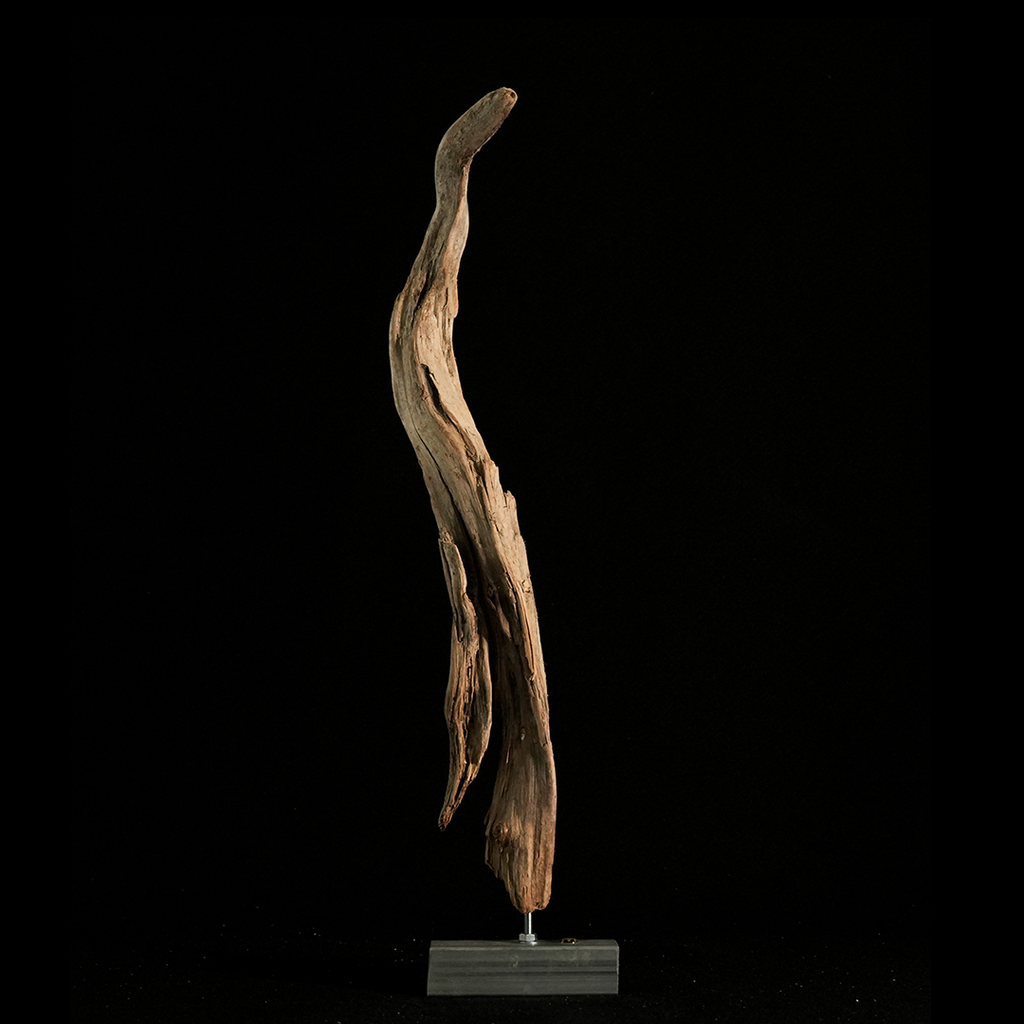 Artemis