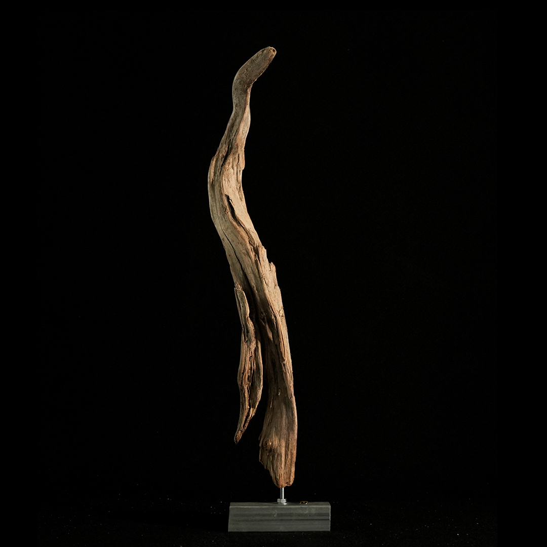 Artemis