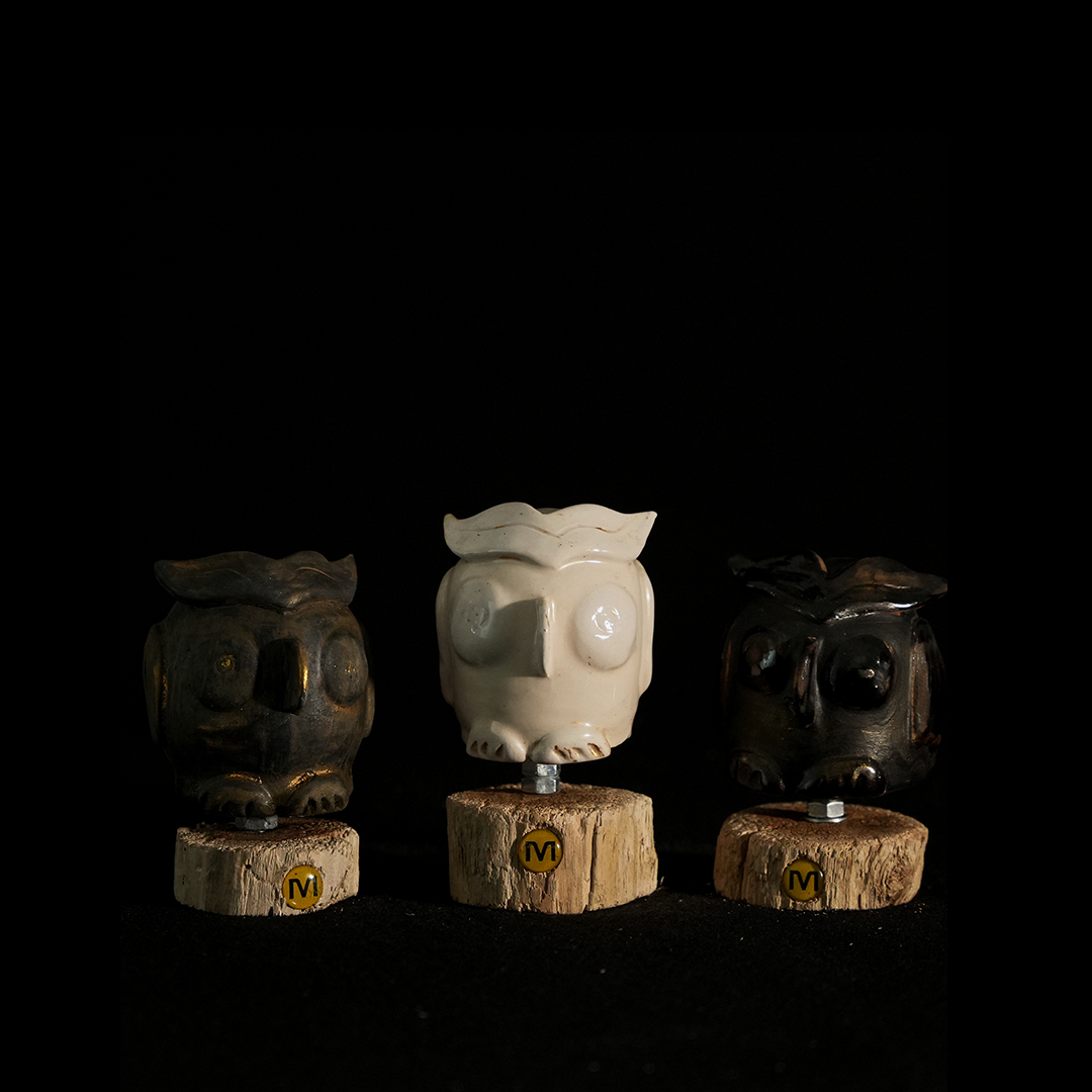Owl Family (Eglantine, Marella & Noctus)