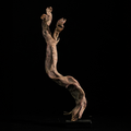 Hypnos