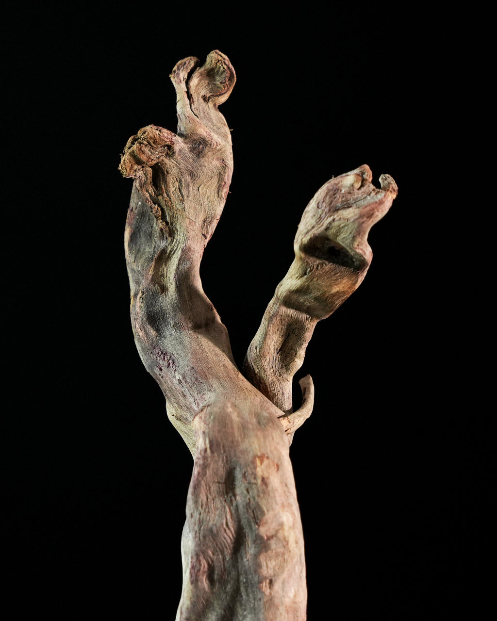 Hypnos