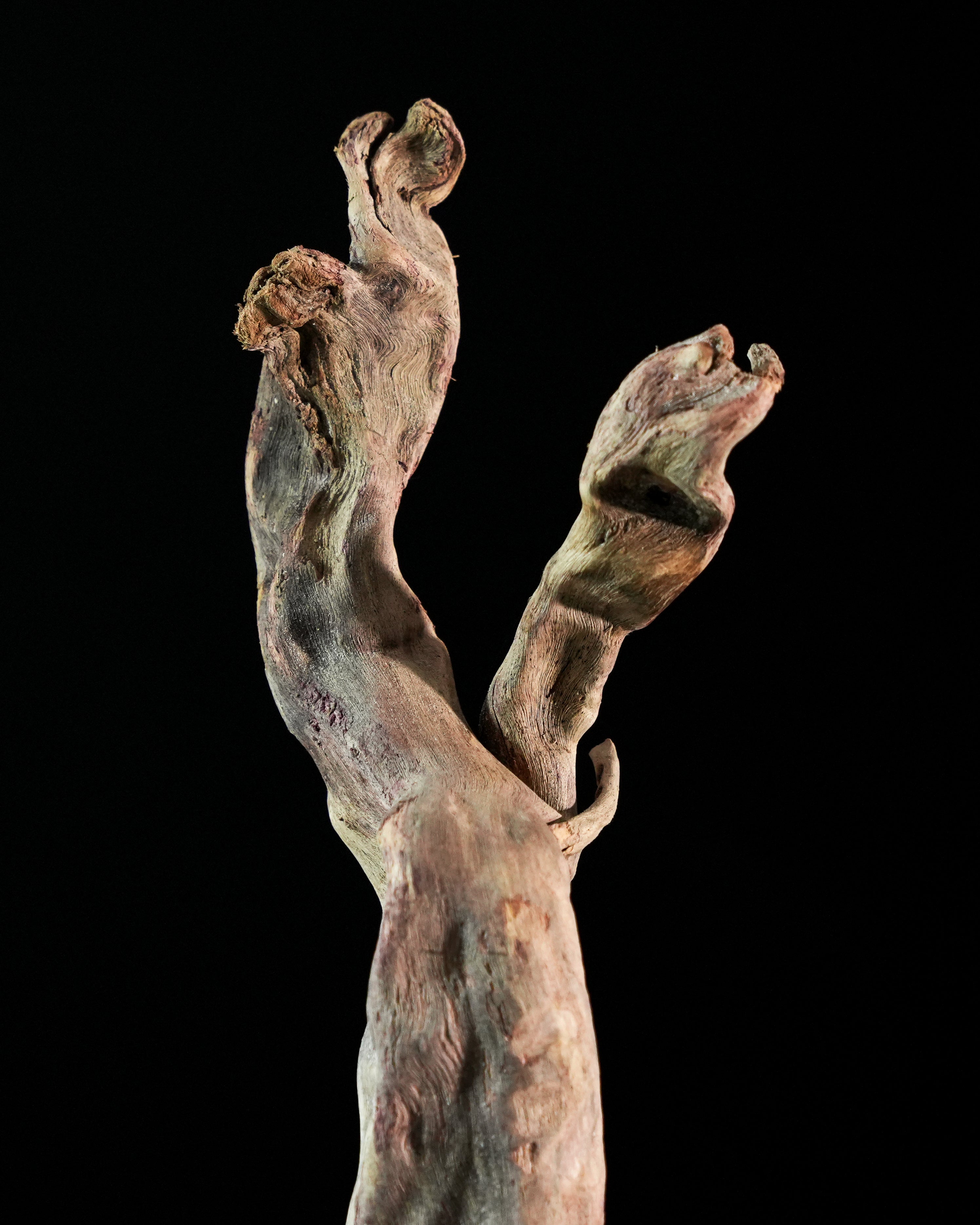 Hypnos