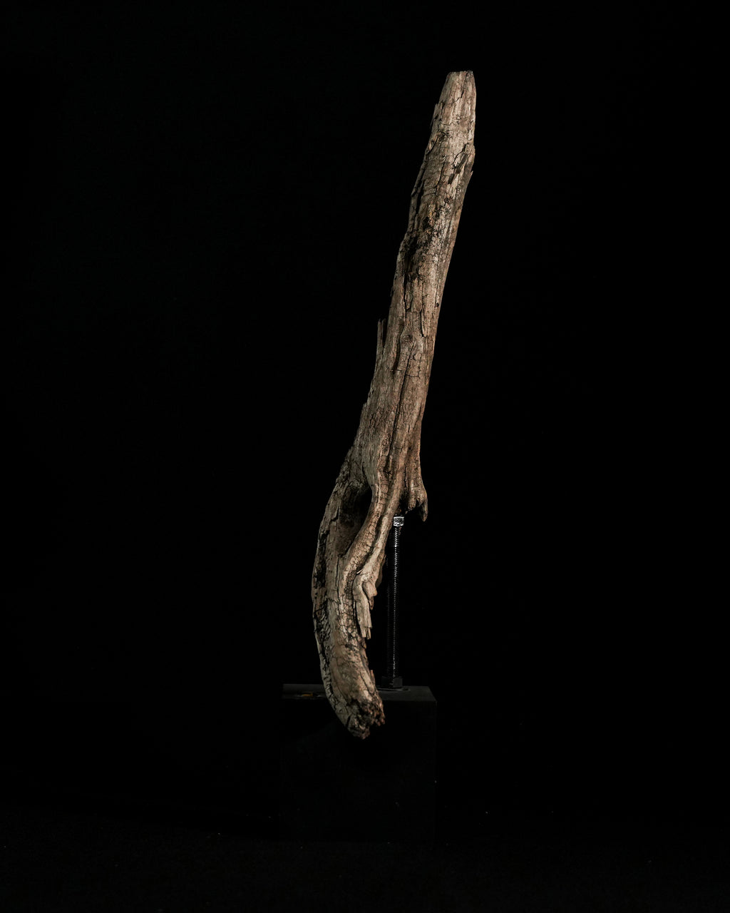 Thanatos