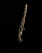 Thanatos