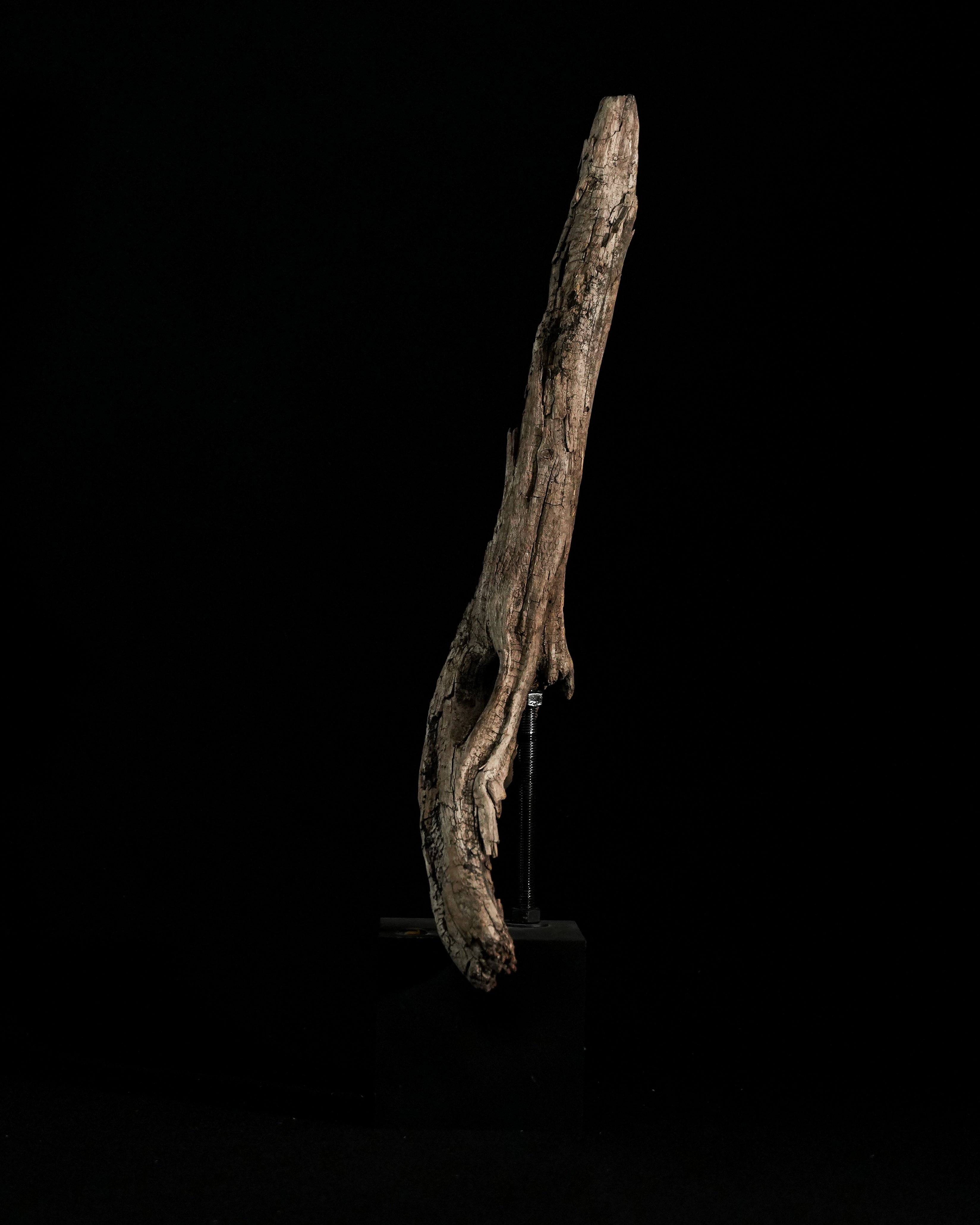 Thanatos