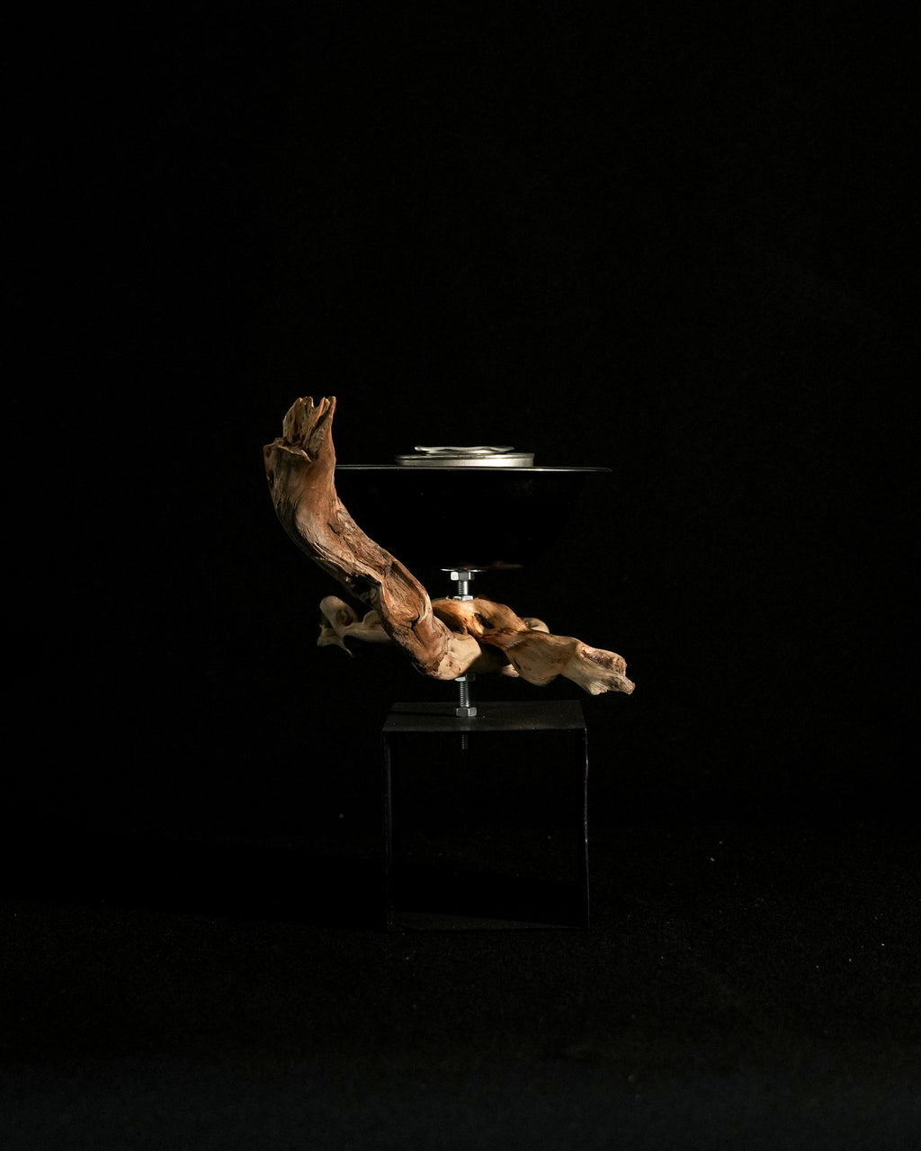 Orpheus