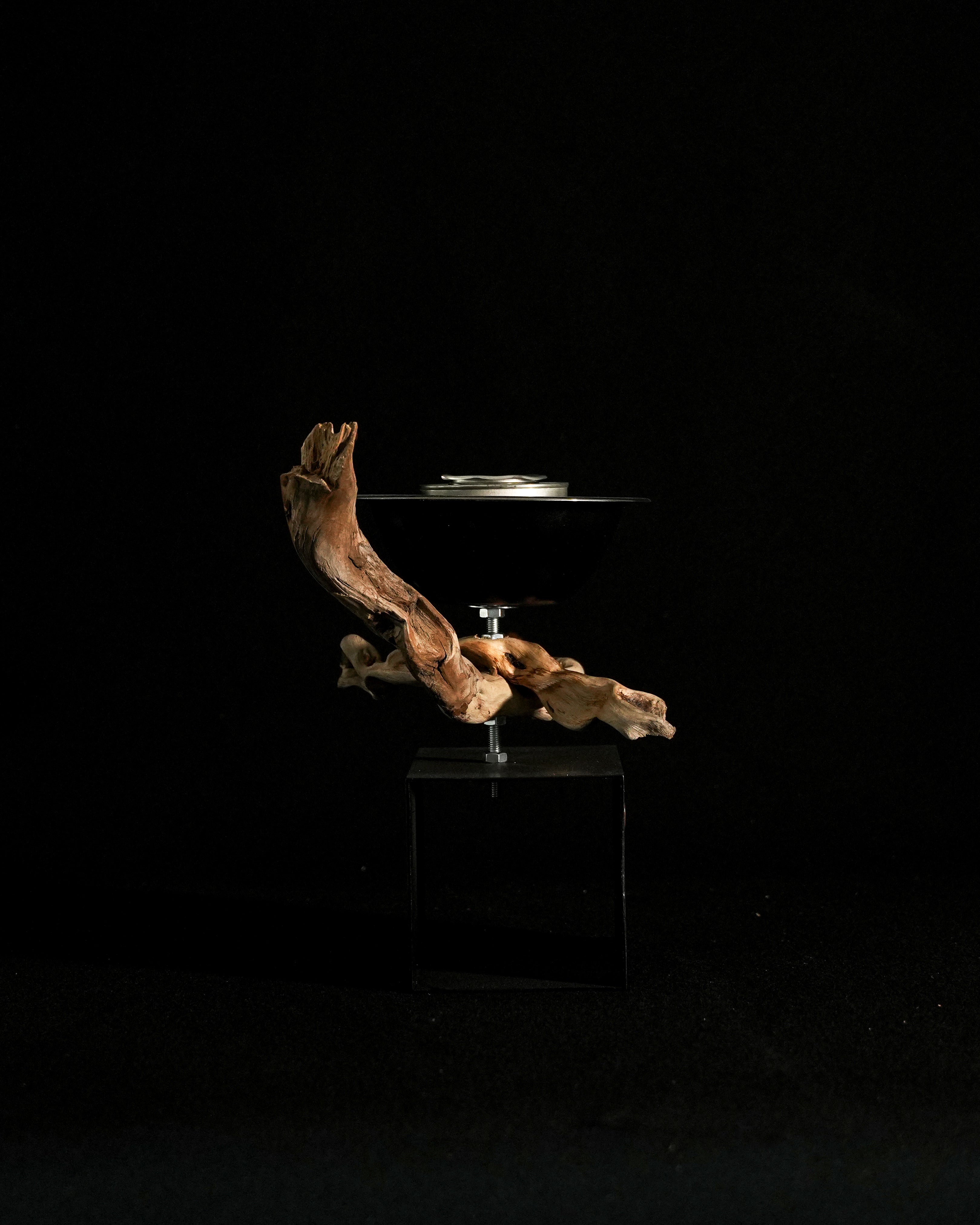 Orpheus