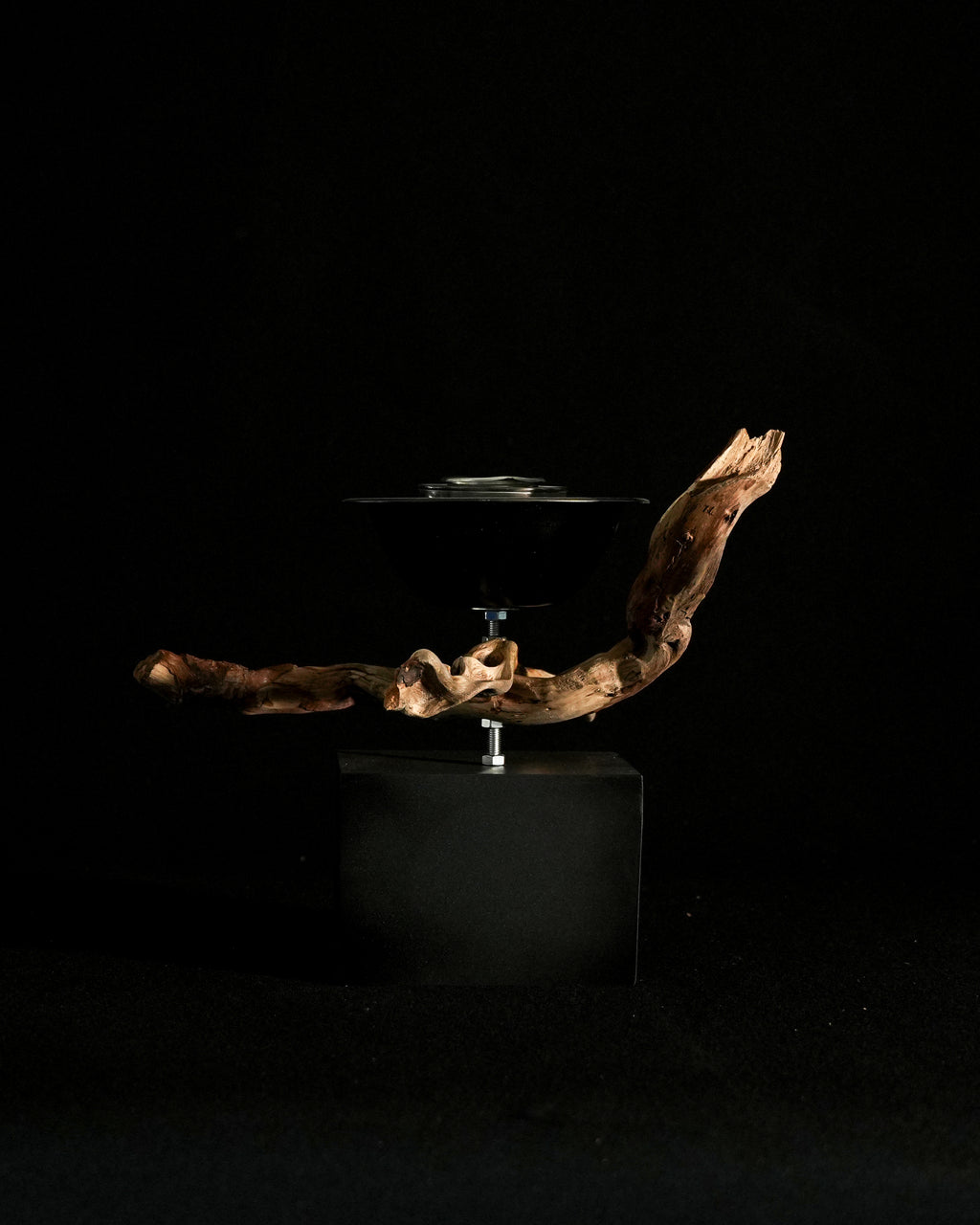Orpheus