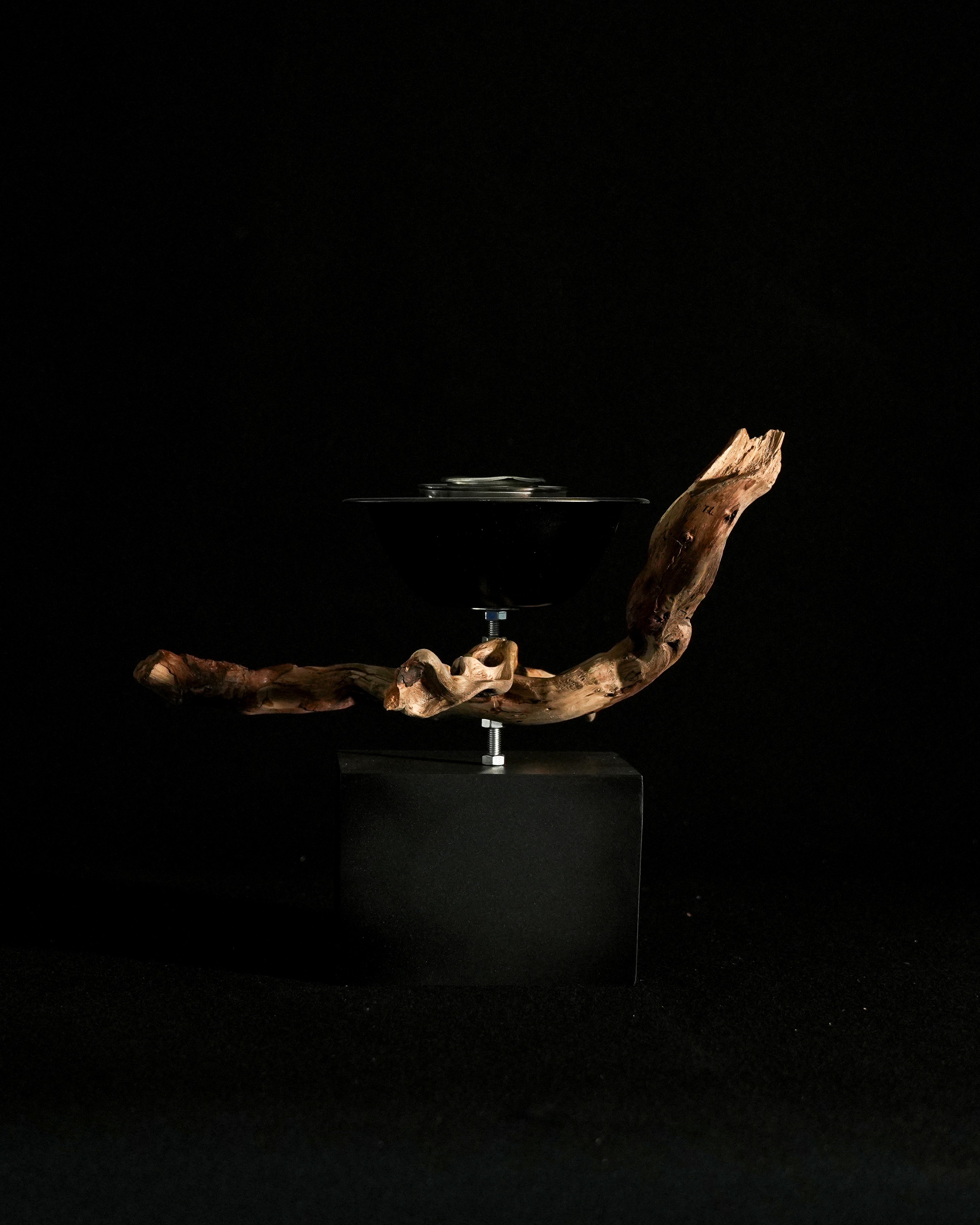 Orpheus