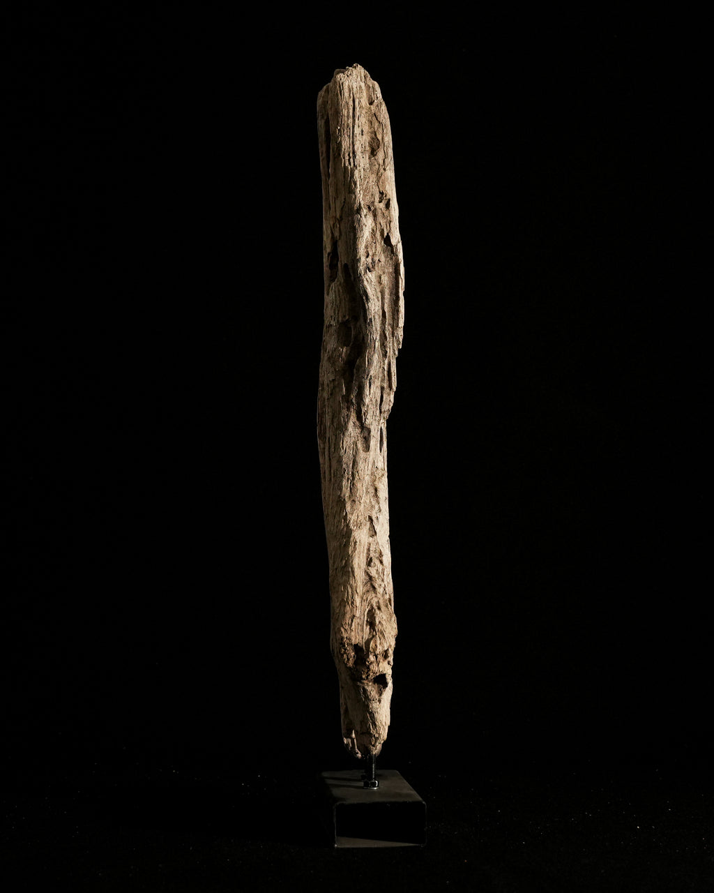 Persephone