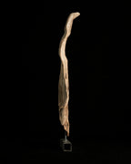 Artemis
