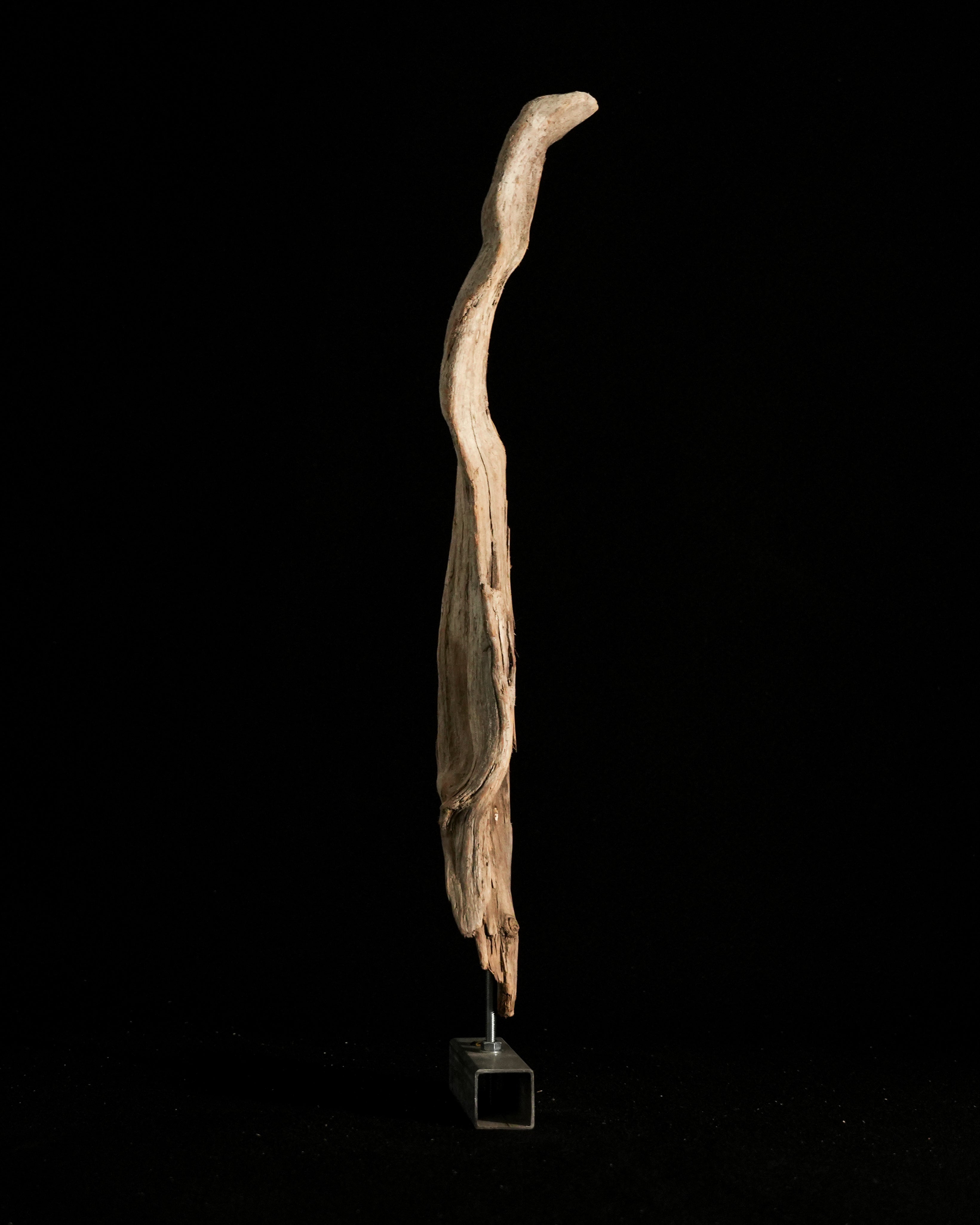 Artemis