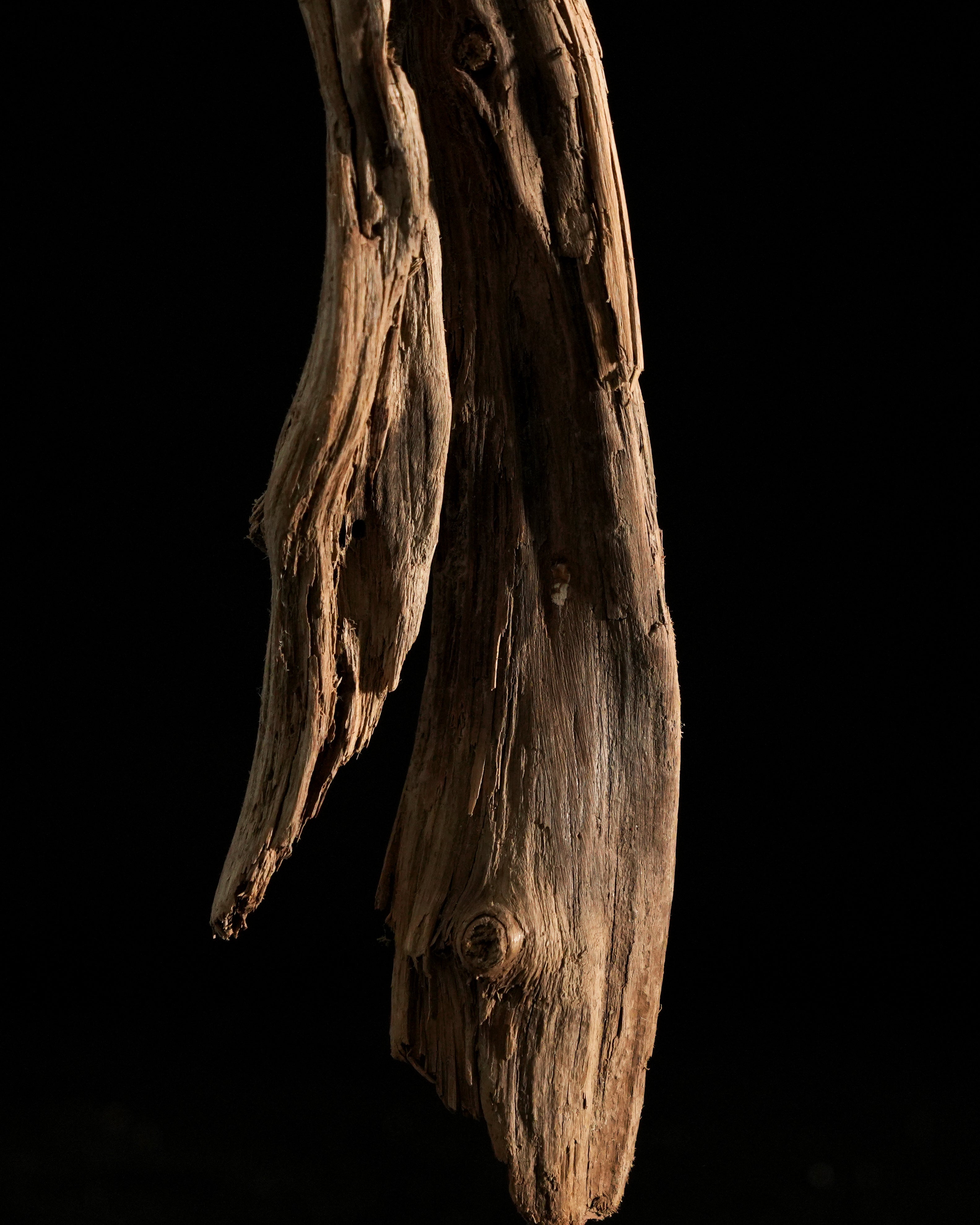 Artemis