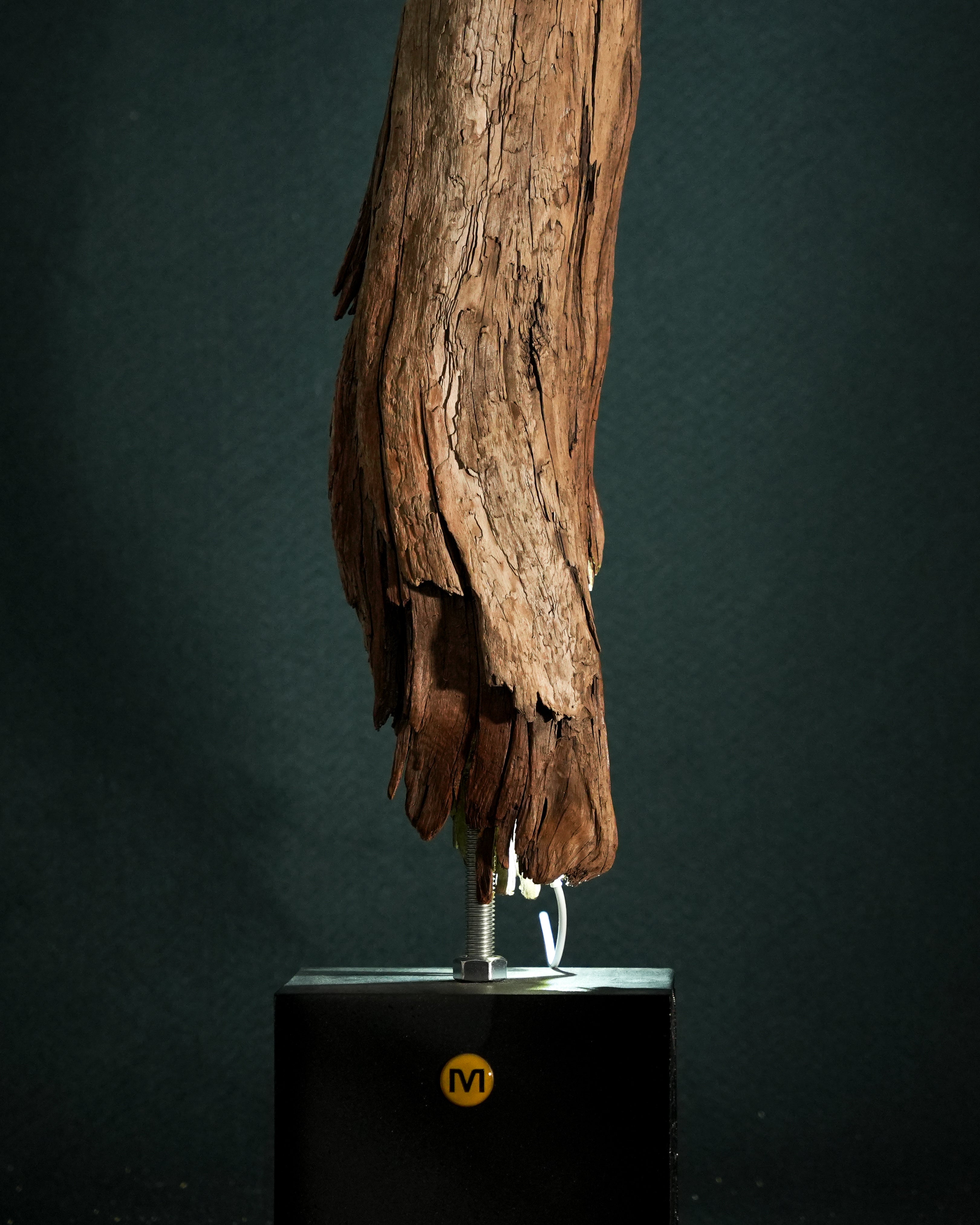 Morpheus - Light Sculpture