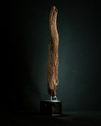 Morpheus - Light Sculpture