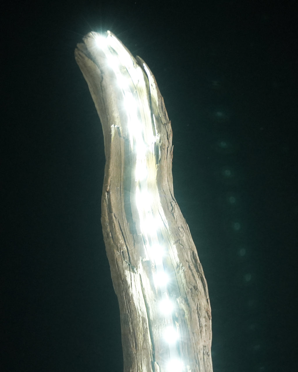 Morpheus - Light Sculpture