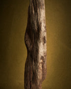 Erebus - Light Sculpture